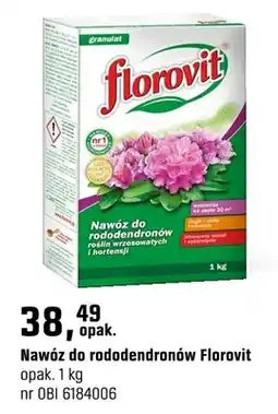 OBI Nawóz do rododendronów oferta