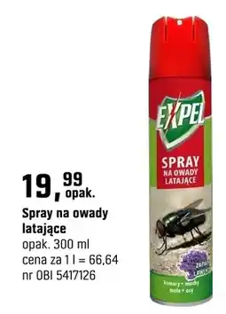 OBI Spray na owady latające oferta