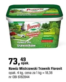 OBI Nawóz mistrzowski trawnik oferta
