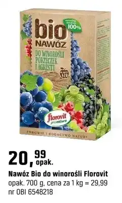 OBI Bio do winorośli oferta