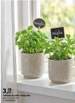OBI Tabliczka do roślin z kredą miks oferta