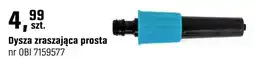 OBI Dysza zraszająca prosta oferta