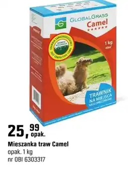 OBI Mieszanka traw Camel oferta