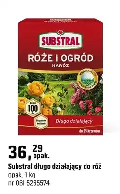 OBI Nawóz długo działający do róż oferta