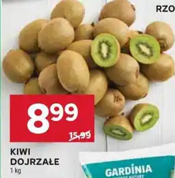 Stokrotka Market KIWI DOJRZAŁE oferta