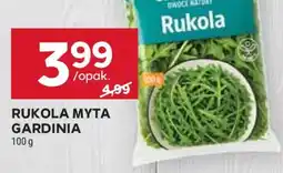 Stokrotka Market Rukola Myta Gardinia oferta