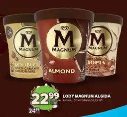Stokrotka Market Lody MAGNUM ALGIDA oferta