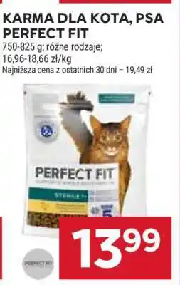 Stokrotka Market Karma dla kota / psa Perfect Fit oferta