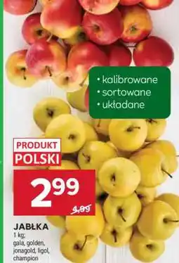 Stokrotka Market Jabłka oferta