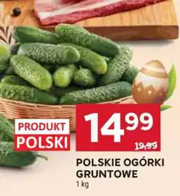 Stokrotka Market Polskie ogórki gruntowe oferta