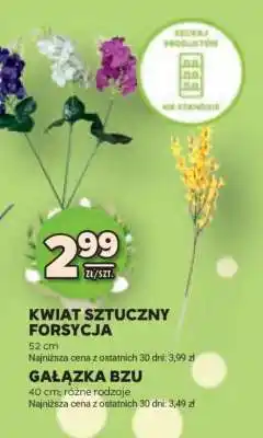 Stokrotka Market Kwiat sztuczny Forsycja oferta