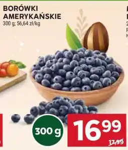 Stokrotka Market Borówki amerykańskie oferta