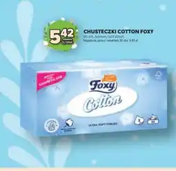 Stokrotka Market Chusteczki Cotton Foxy oferta