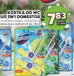 Stokrotka Market KOSTKA DO WC DUO 3W1 DOMESTOS oferta