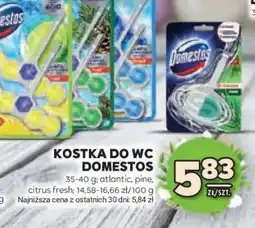 Stokrotka Market Kostka do WC Domestos oferta
