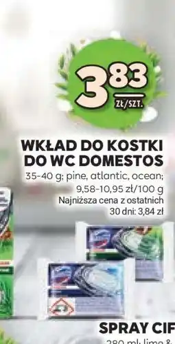 Stokrotka Market WKŁAD DO KOSTKI DO WC DOMESTOS oferta
