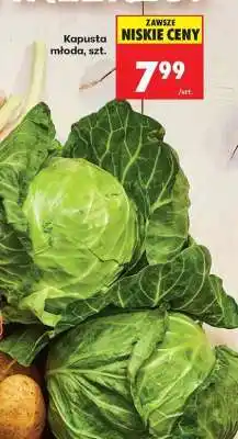 Biedronka Kapusta młoda szt oferta