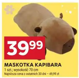 Stokrotka Market Maskotka kapibara oferta