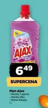 Netto Płyn Ajax oferta