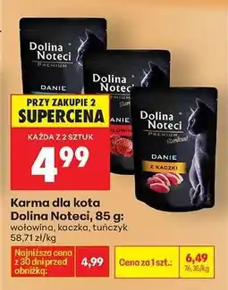 Biedronka Dolina Noteci oferta