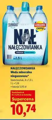 Lidl NAŁĘCZOWIANKA oferta