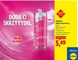 Lidl RED BULL Napój energetyczny oferta