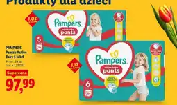 Lidl PAMPERS Pantsy Active Baby 5 lub 6 oferta