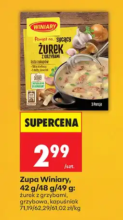 Biedronka Zupa w proszku Winiary oferta