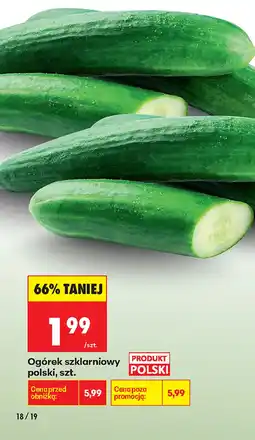 Biedronka Ogórek Polski oferta