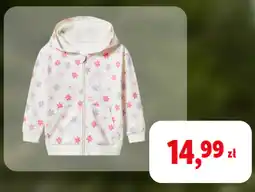 Lidl Bluza oferta