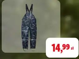 Lidl Spodnie przeciwdeszczowe oferta