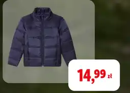 Lidl Kurtka oferta