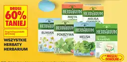Biedronka WSZYSTKIE HERBATY HERBARIUM oferta