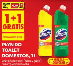 Biedronka Płyn do toalet Domestos oferta