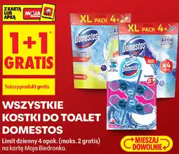 Biedronka Wszystkie kostki do toalet Domestos oferta