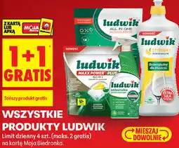 Biedronka Wszystkie produkty Ludwik oferta