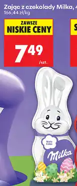 Biedronka Zając z czekolady Milka oferta