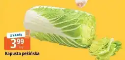 E.Leclerc Kapusta pekińska oferta