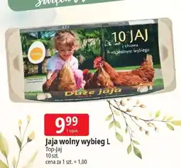 E.Leclerc Jaja z wolnego wybiegu kl. l Top Jaj oferta