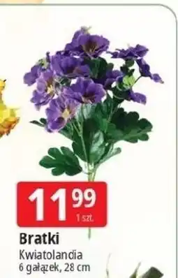 E.Leclerc Bratki 28 cm Kwiatolandia oferta