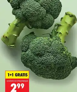 Biedronka Brokuł oferta