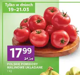 Stokrotka Express Pomidory oferta