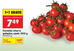 Biedronka Pomidor cherry gałązka oferta
