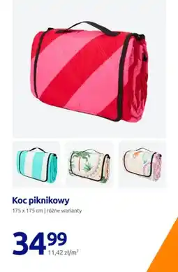 Action Koc piknikowy 175x175 cm, różne warianty oferta