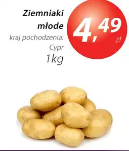 Market Point Ziemniaki młode oferta