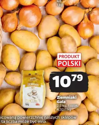 Netto Ziemniaki gala 1 SZT 2.5 KG oferta