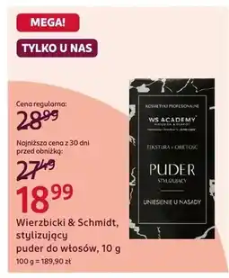 Rossmann Stylizujący puder do włosów oferta