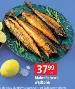 E.Leclerc Makrela tusza wędzona oferta