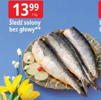 E.Leclerc Śledź solony bez głowy oferta