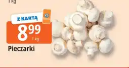 E.Leclerc Pieczarki oferta
